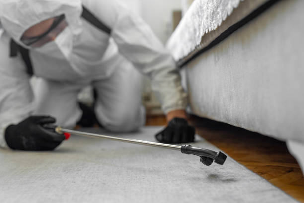 Professional Bed Bug Control technician working in Lynwood, CA