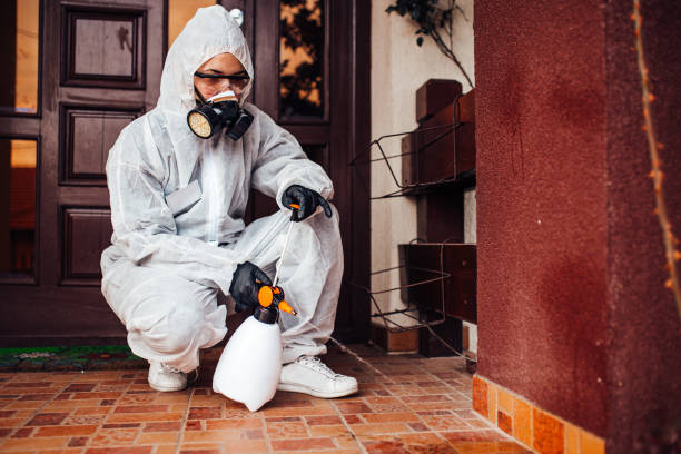 Reliable Bed Bug Control contractor in Lynwood, CA by Nex Pest Control